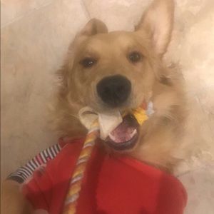 Meet your Posher, Karen